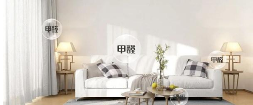 ENF��������ȩ����