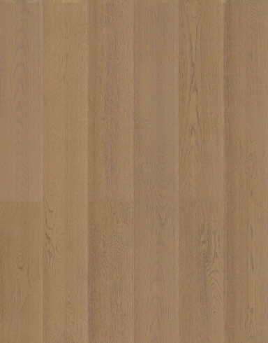 �ն�����