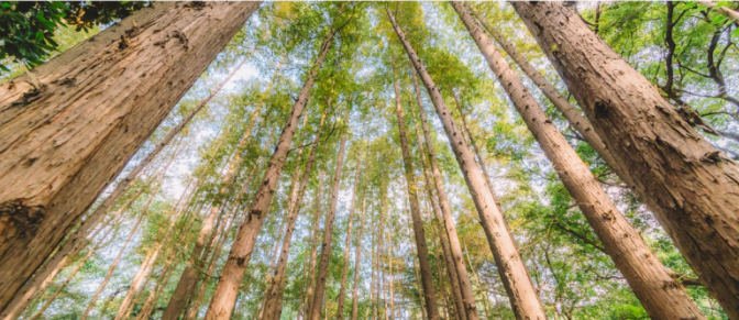 k8����(�й�)����Ӯ�ҡ�һ������