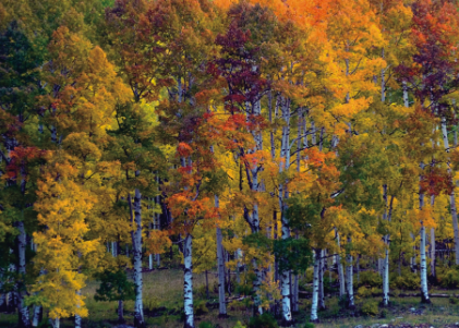 k8����(�й�)����Ӯ�ҡ�һ������