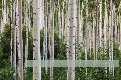 k8����(�й�)����Ӯ�ҡ�һ������