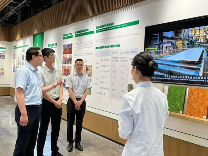 �»�k8��������Ӯ��