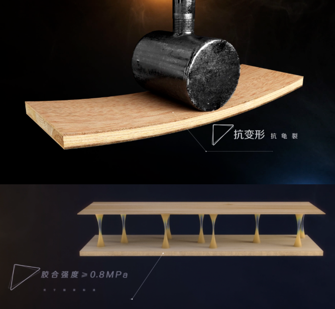 k8��������Ӯ�Ұ��