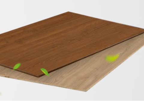 �¹������ֺ����¹񳣼�����������