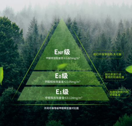 ENF������