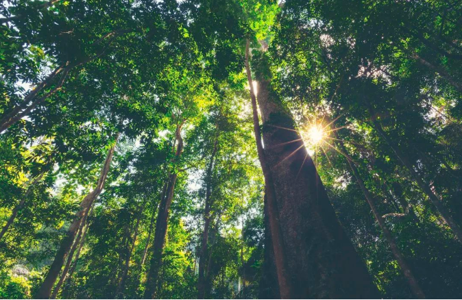 k8����(�й�)����Ӯ�ҡ�һ������