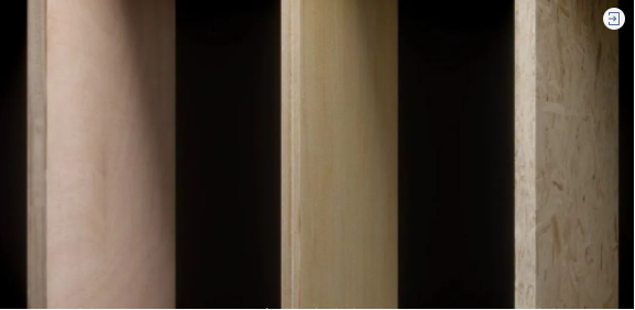 k8��������Ӯ��