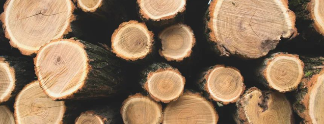 k8¿·¢(Öйú)ÌìÉúÓ®¼Ò¡¤Ò»´¥¼´·¢