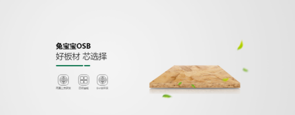 k8¿·¢(Öйú)ÌìÉúÓ®¼Ò¡¤Ò»´¥¼´·¢