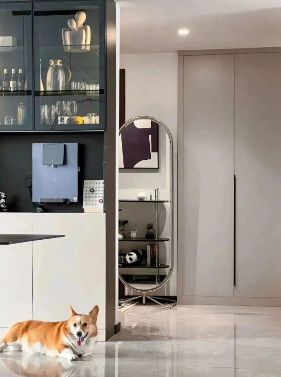 k8¿·¢(Öйú)ÌìÉúÓ®¼Ò¡¤Ò»´¥¼´·¢