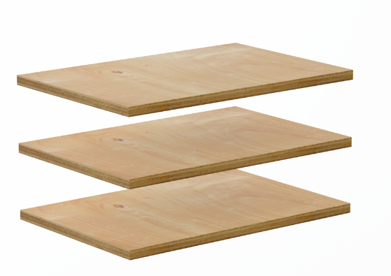 k8凯发(中国)天生赢家·一触即发