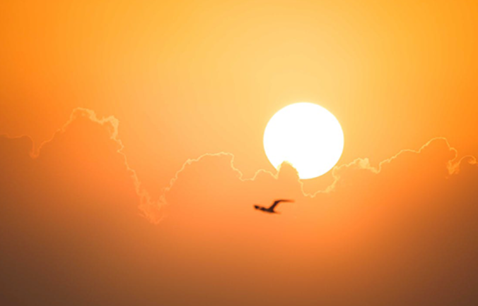 k8����(�й�)����Ӯ�ҡ�һ������