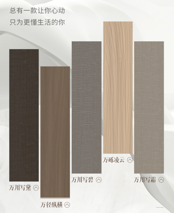 k8����(�й�)����Ӯ�ҡ�һ������