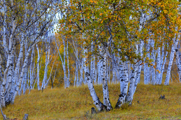 k8����(�й�)����Ӯ�ҡ�һ������