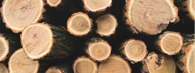 k8����(�й�)����Ӯ�ҡ�һ������