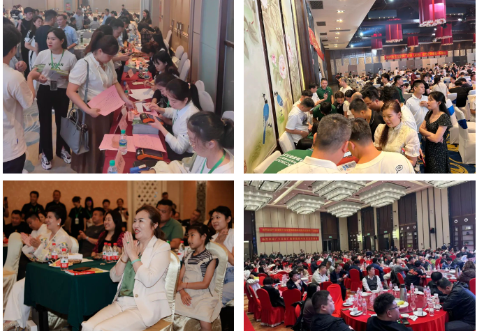 k8����(�й�)����Ӯ�ҡ�һ������