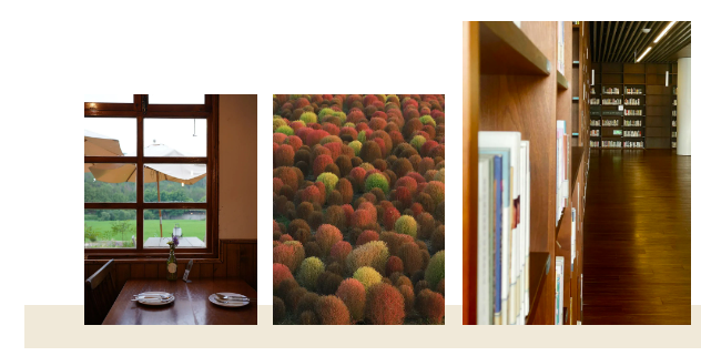 k8����(�й�)����Ӯ�ҡ�һ������